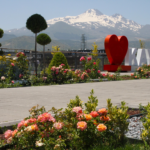 kayseri-haberleri-20384eeba0ba43935b1d0192579c88b9.webp