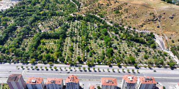 kayseri-haberleri-75cab6a6c6a351ef4a8450e5d9a79234.webp