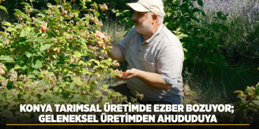 konya-haberleri-7d1fe6e442cce906e4354defa94ff705.webp