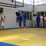 sanliurfa-haberleri-d27ffe59d330820adc234651dcbf84fe-6.webp