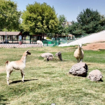 kayseri-haberleri-26f7a0f6f2397d6dc3680ae471d37337.webp