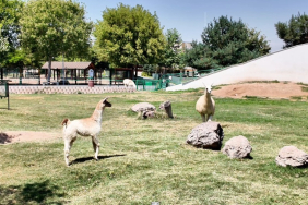 kayseri-haberleri-26f7a0f6f2397d6dc3680ae471d37337.webp