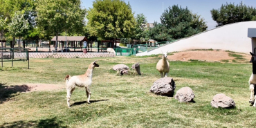kayseri-haberleri-26f7a0f6f2397d6dc3680ae471d37337.webp