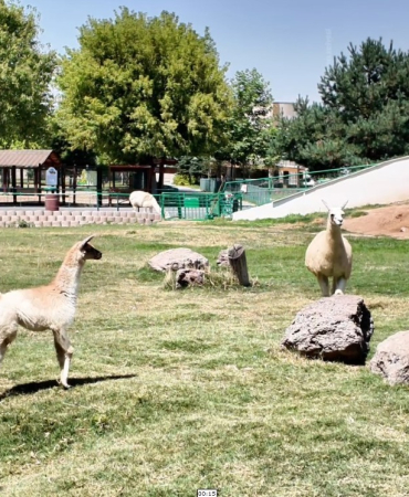 kayseri-haberleri-26f7a0f6f2397d6dc3680ae471d37337.webp