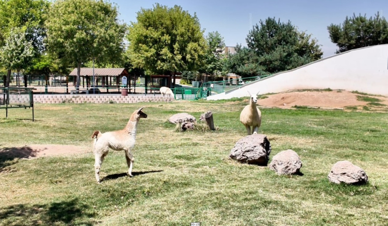 kayseri-haberleri-26f7a0f6f2397d6dc3680ae471d37337.webp