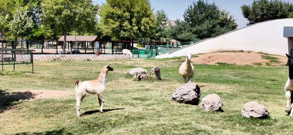 kayseri-haberleri-26f7a0f6f2397d6dc3680ae471d37337.webp