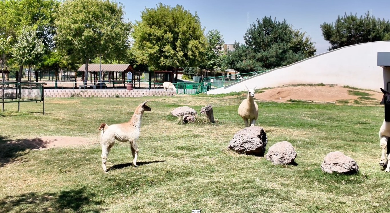 kayseri-haberleri-26f7a0f6f2397d6dc3680ae471d37337.webp