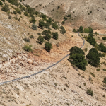 kayseri-haberleri-895f733ed67da090e9c5c7d295e5ce93.webp