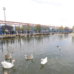 kayseri-haberleri-22c95e98aa1ca96485c5a4509bd5fffd.webp