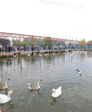 kayseri-haberleri-22c95e98aa1ca96485c5a4509bd5fffd.webp