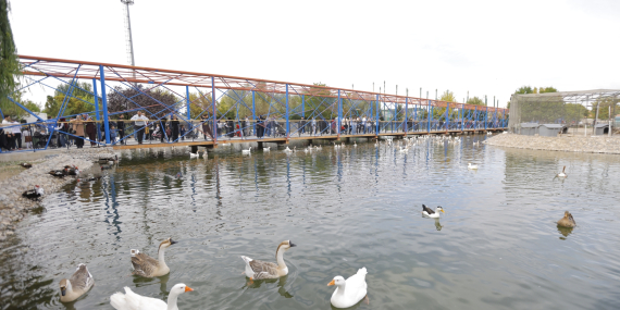 kayseri-haberleri-22c95e98aa1ca96485c5a4509bd5fffd.webp