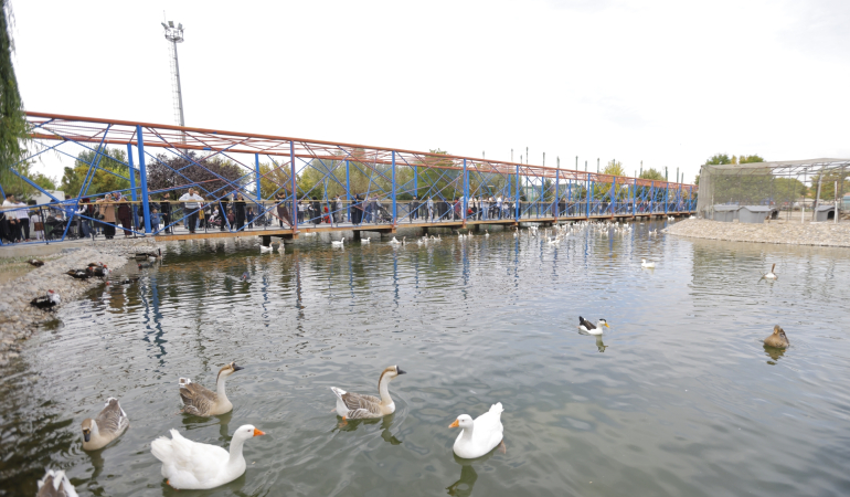 kayseri-haberleri-22c95e98aa1ca96485c5a4509bd5fffd.webp