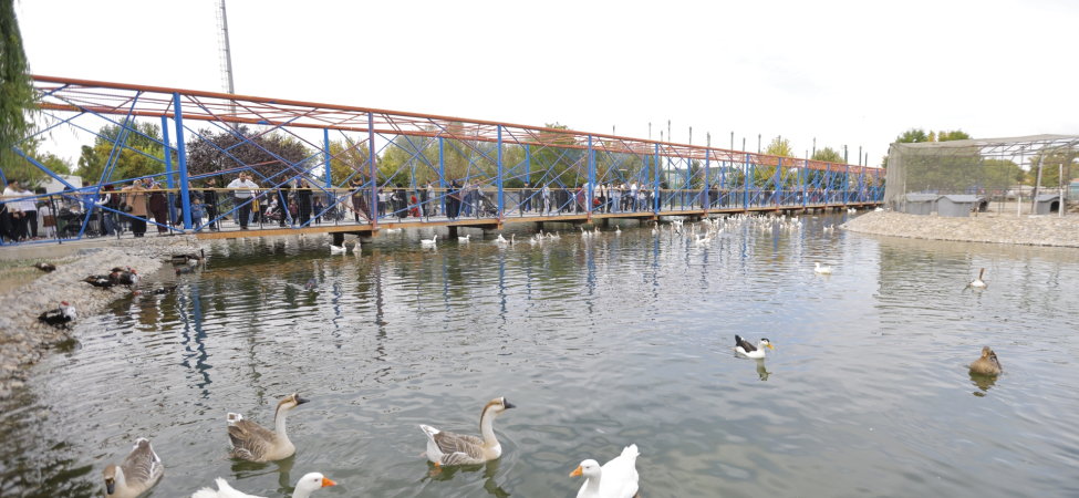 kayseri-haberleri-22c95e98aa1ca96485c5a4509bd5fffd.webp
