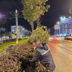 kayseri-haberleri-b6c79922c504d1d823d867432aedccba.webp